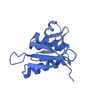 8815_5we6_h_v1-4
70S ribosome-EF-Tu H84A complex with GTP and cognate tRNA