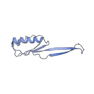 8815_5we6_j_v1-4
70S ribosome-EF-Tu H84A complex with GTP and cognate tRNA