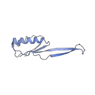 8815_5we6_j_v2-2
70S ribosome-EF-Tu H84A complex with GTP and cognate tRNA