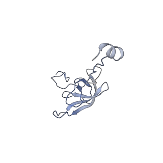 8815_5we6_l_v1-4
70S ribosome-EF-Tu H84A complex with GTP and cognate tRNA
