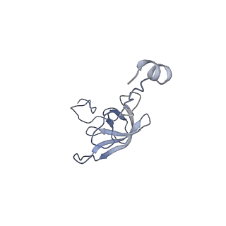 8815_5we6_l_v2-2
70S ribosome-EF-Tu H84A complex with GTP and cognate tRNA