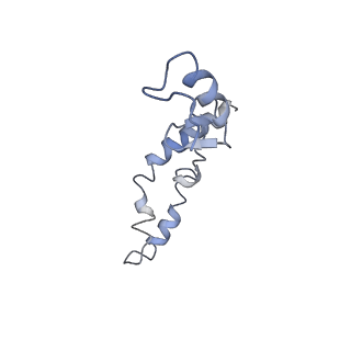 8815_5we6_n_v1-4
70S ribosome-EF-Tu H84A complex with GTP and cognate tRNA