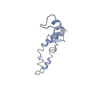 8815_5we6_n_v2-2
70S ribosome-EF-Tu H84A complex with GTP and cognate tRNA