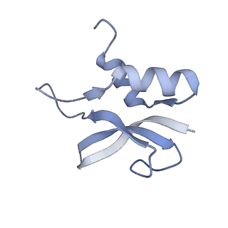8815_5we6_p_v1-4
70S ribosome-EF-Tu H84A complex with GTP and cognate tRNA