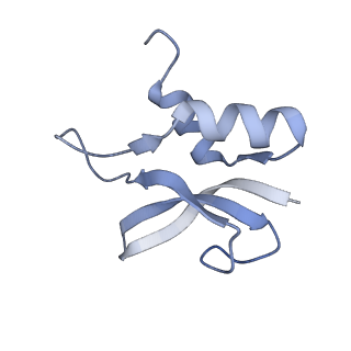 8815_5we6_p_v2-1
70S ribosome-EF-Tu H84A complex with GTP and cognate tRNA