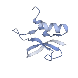 8815_5we6_p_v2-2
70S ribosome-EF-Tu H84A complex with GTP and cognate tRNA