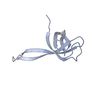 8815_5we6_q_v1-4
70S ribosome-EF-Tu H84A complex with GTP and cognate tRNA