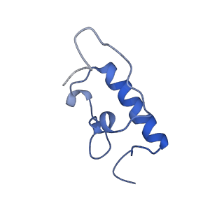 8815_5we6_r_v1-4
70S ribosome-EF-Tu H84A complex with GTP and cognate tRNA