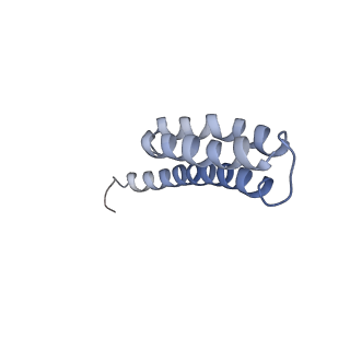 8815_5we6_t_v2-2
70S ribosome-EF-Tu H84A complex with GTP and cognate tRNA