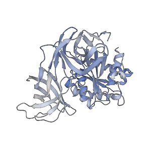8815_5we6_z_v1-4
70S ribosome-EF-Tu H84A complex with GTP and cognate tRNA