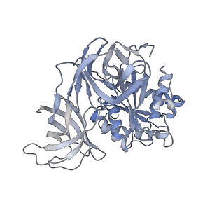 8815_5we6_z_v2-1
70S ribosome-EF-Tu H84A complex with GTP and cognate tRNA