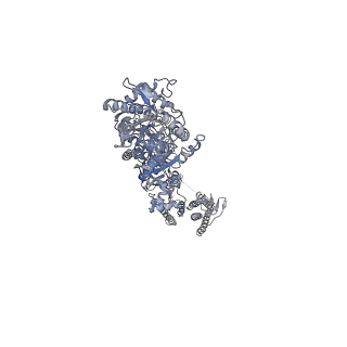 8819_5wek_C_v1-3
GluA2 bound to antagonist ZK and GSG1L in digitonin, state 1