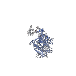 8820_5wel_A_v1-3
GluA2 bound to antagonist ZK and GSG1L in digitonin, state 2