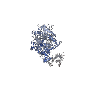 8820_5wel_C_v1-3
GluA2 bound to antagonist ZK and GSG1L in digitonin, state 2