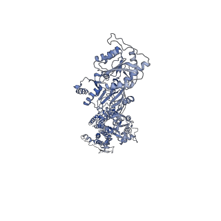 8823_5weo_D_v1-3
Activated GluA2 complex bound to glutamate, cyclothiazide, and STZ in digitonin
