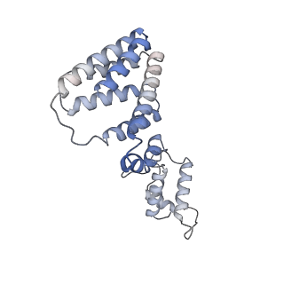 21652_6wfq_C_v1-1
NanR dimer-DNA hetero-complex