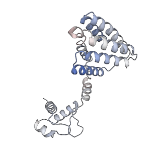 21652_6wfq_D_v1-2
NanR dimer-DNA hetero-complex