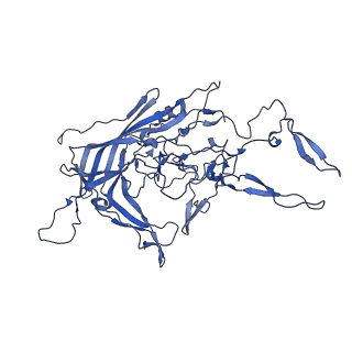 21656_6wft_1_v1-2
BatAAV-10HB - genome-containing particles