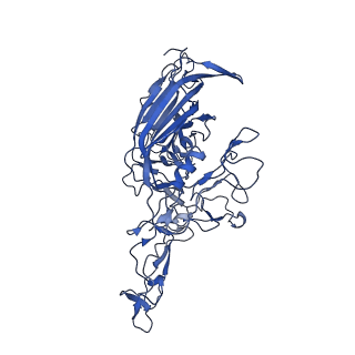 21656_6wft_2_v1-2
BatAAV-10HB - genome-containing particles