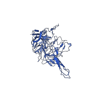 21656_6wft_3_v1-2
BatAAV-10HB - genome-containing particles