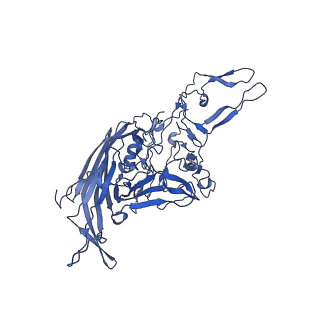 21656_6wft_4_v1-2
BatAAV-10HB - genome-containing particles