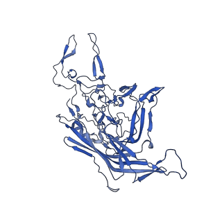 21656_6wft_5_v1-2
BatAAV-10HB - genome-containing particles