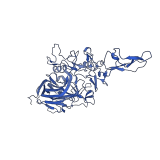 21656_6wft_6_v1-2
BatAAV-10HB - genome-containing particles