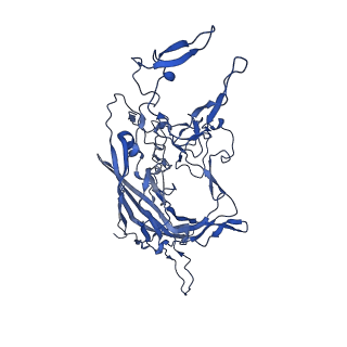 21656_6wft_8_v1-2
BatAAV-10HB - genome-containing particles