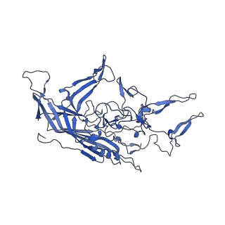 21656_6wft_B_v1-2
BatAAV-10HB - genome-containing particles