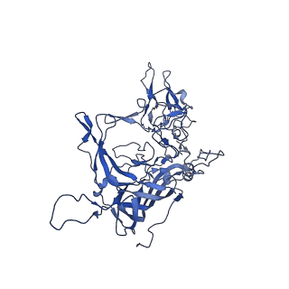 21656_6wft_C_v1-2
BatAAV-10HB - genome-containing particles