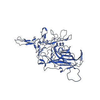 21656_6wft_D_v1-2
BatAAV-10HB - genome-containing particles