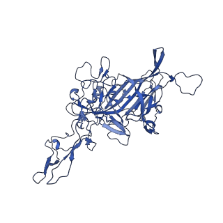 21656_6wft_E_v1-2
BatAAV-10HB - genome-containing particles