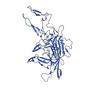 21656_6wft_F_v1-2
BatAAV-10HB - genome-containing particles