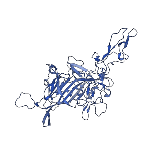 21656_6wft_G_v1-2
BatAAV-10HB - genome-containing particles