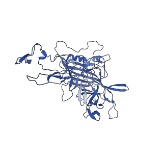 21656_6wft_I_v1-2
BatAAV-10HB - genome-containing particles