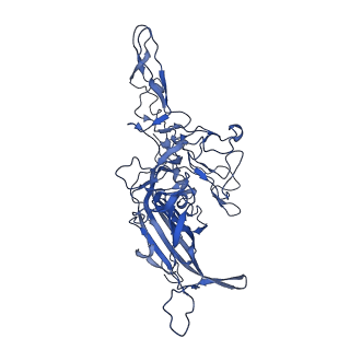 21656_6wft_J_v1-2
BatAAV-10HB - genome-containing particles