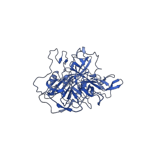 21656_6wft_L_v1-2
BatAAV-10HB - genome-containing particles