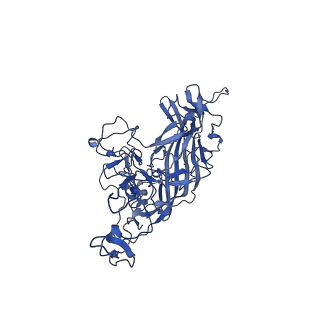 21656_6wft_N_v1-2
BatAAV-10HB - genome-containing particles