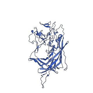 21656_6wft_O_v1-2
BatAAV-10HB - genome-containing particles