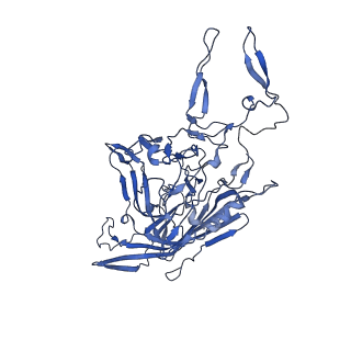 21656_6wft_P_v1-2
BatAAV-10HB - genome-containing particles