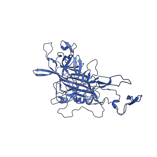 21656_6wft_Q_v1-2
BatAAV-10HB - genome-containing particles