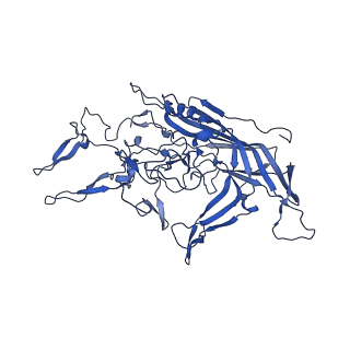 21656_6wft_R_v1-2
BatAAV-10HB - genome-containing particles