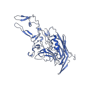 21656_6wft_T_v1-2
BatAAV-10HB - genome-containing particles