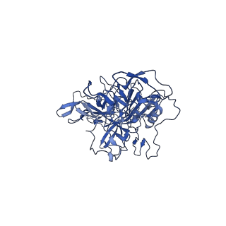 21656_6wft_U_v1-2
BatAAV-10HB - genome-containing particles