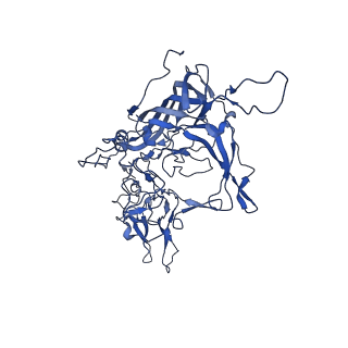 21656_6wft_V_v1-2
BatAAV-10HB - genome-containing particles