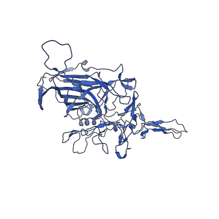 21656_6wft_W_v1-2
BatAAV-10HB - genome-containing particles