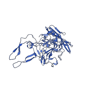 21656_6wft_X_v1-2
BatAAV-10HB - genome-containing particles