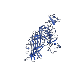 21656_6wft_Y_v1-2
BatAAV-10HB - genome-containing particles