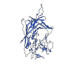 21656_6wft_Z_v1-2
BatAAV-10HB - genome-containing particles