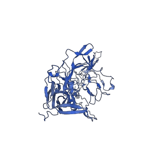 21656_6wft_a_v1-2
BatAAV-10HB - genome-containing particles